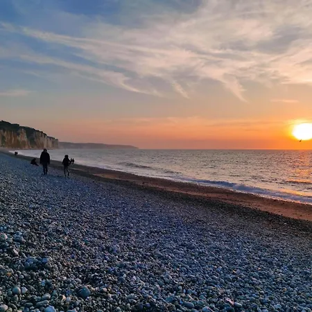 Calin By Holidieppe *
